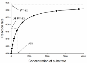 Saturation curve for an enzyme showing the relation between the concentration of substrate and rate.